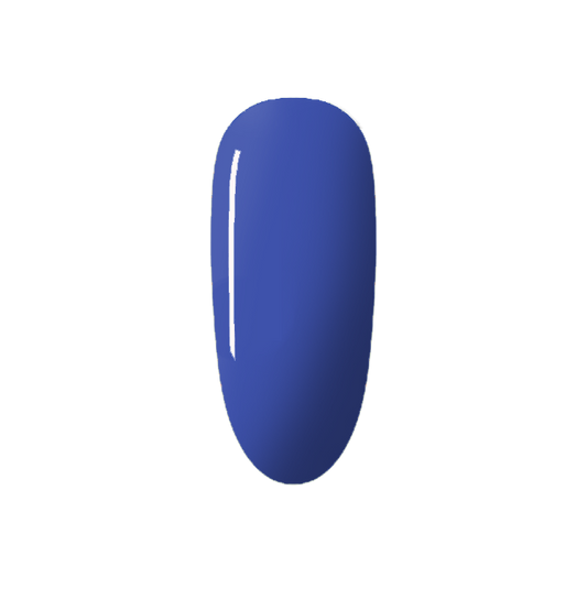 Vivid Blue 05